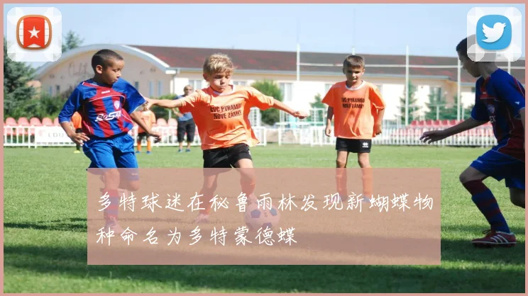 多特球迷在秘鲁雨林发现新蝴蝶物种命名为多特蒙德蝶