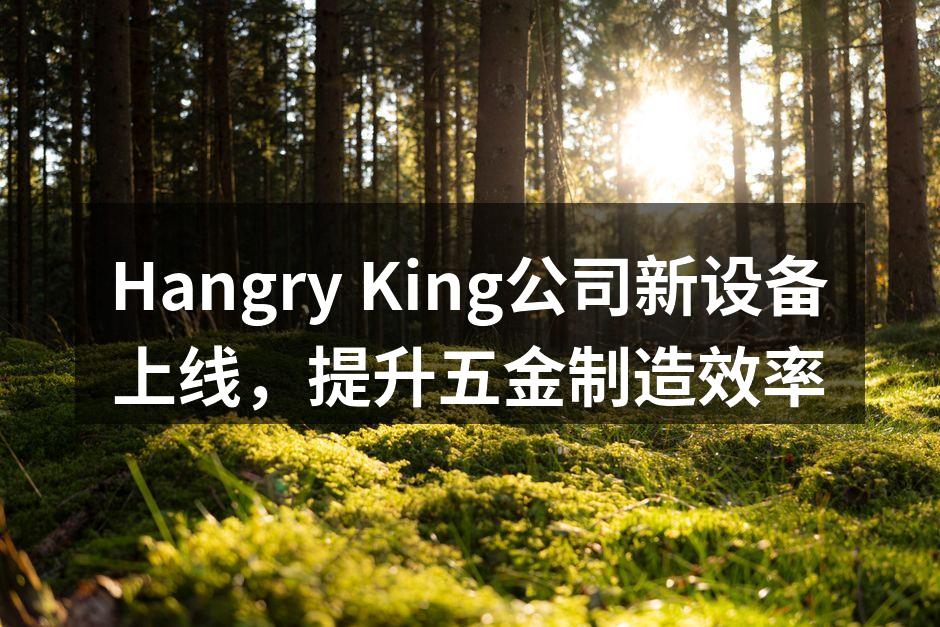 新设备投入生产线